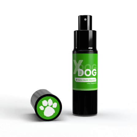 น้ำหอมสำหรับสุนัขและแมว KEVINA ผสมวิตามิน บำรุงขน กลิ่น X DOG_0